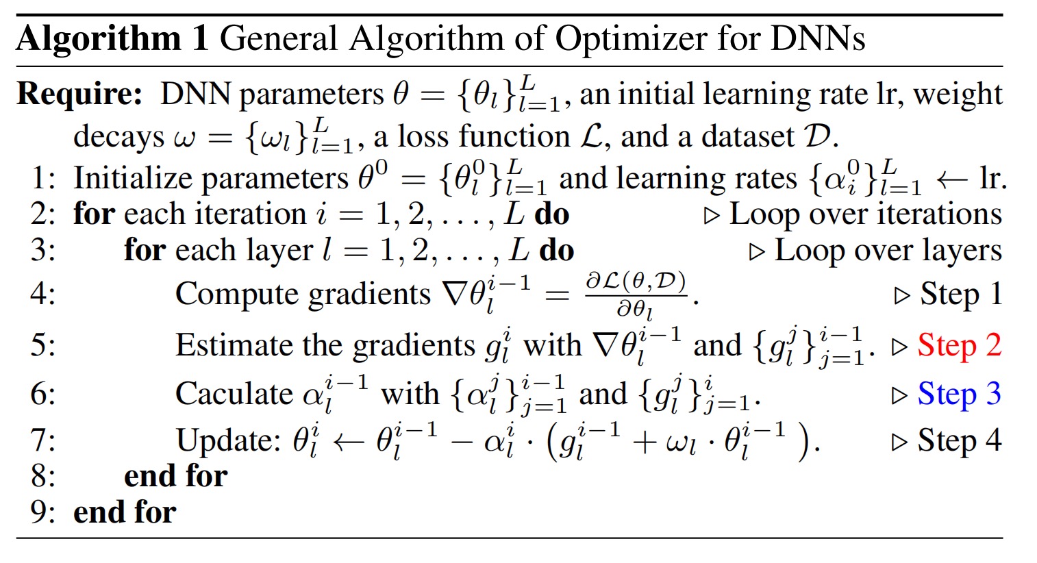 General Algorithm of Optimizer for DNNs